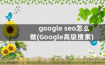 google seo怎么做(Google高级搜索)